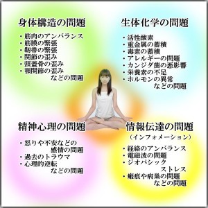 フィシオエナジェティック整体のイメージ図