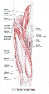 大腰筋