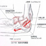 尺骨溝