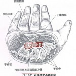 手根管
