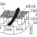 手根管2