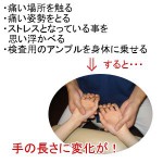 フィシオエナジェティックARテストのイメージ